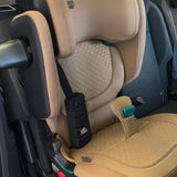 Car Seat Consultation